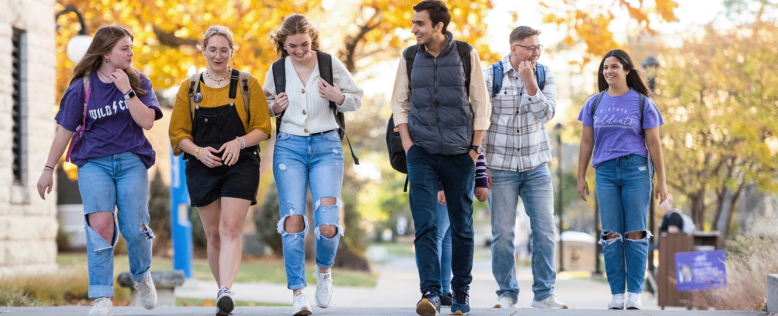 Fraternity visual data 2